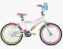 16” Boy’s or Girl’s Bike