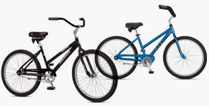 Men’s or Women’s Adult Bike